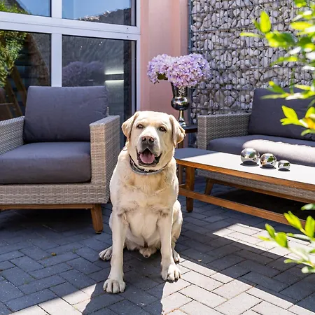 Serams - Stilvolle Studio- Nahe Binz Apartment *